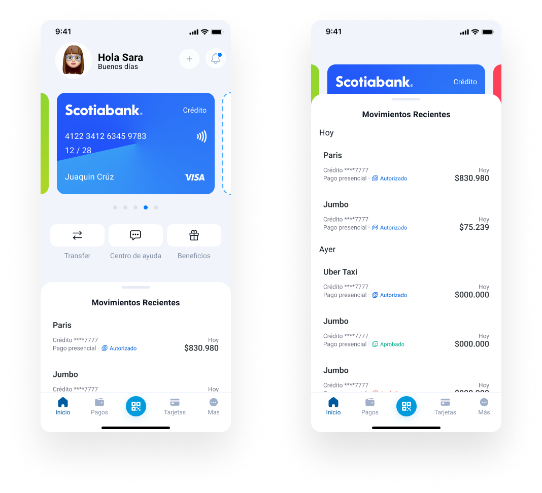 Descripción de la imagen